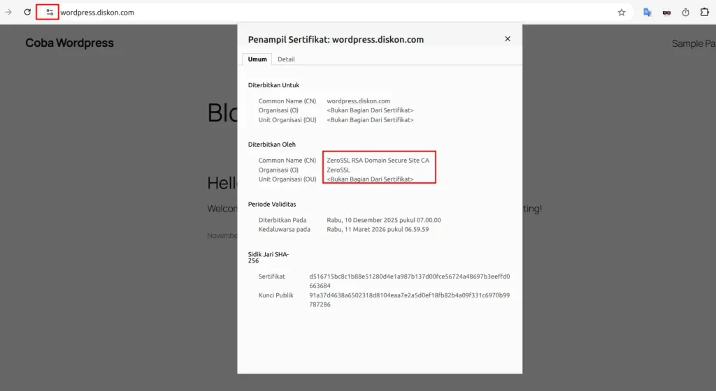 Cara Setting SSL Panel Diskon.com